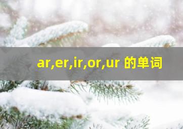 ar,er,ir,or,ur 的单词